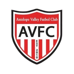 AVFC logo