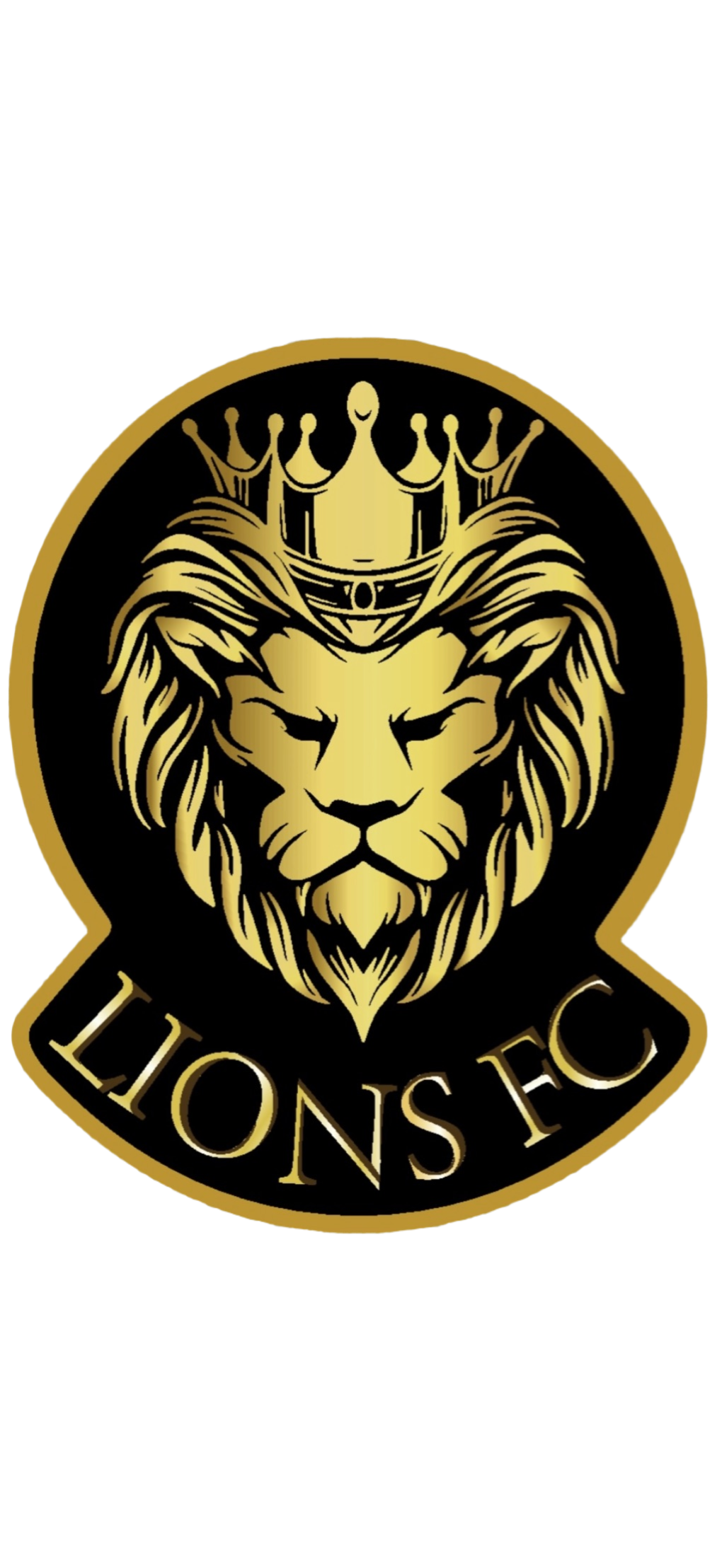 Lions FC logo