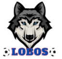 AV Lobos