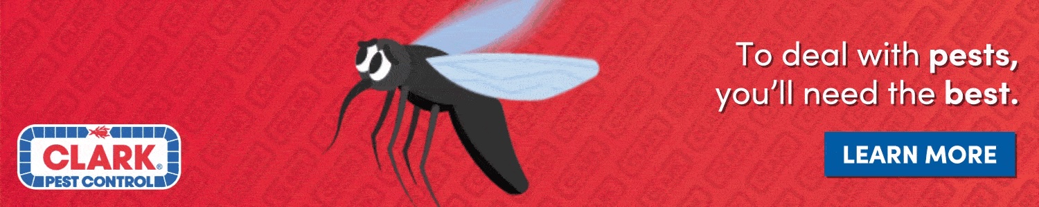 Banner 1